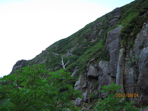 b0148050_15574083.jpg