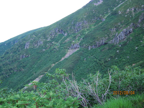 b0148050_15595972.jpg