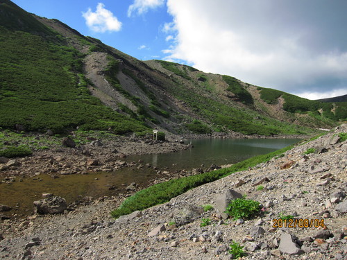 b0148050_1602525.jpg