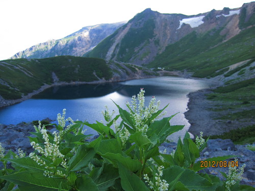 b0148050_16305391.jpg