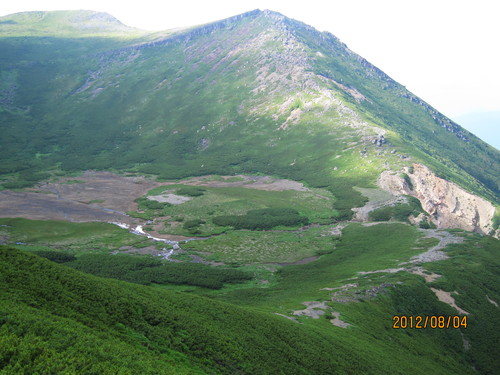 b0148050_16312434.jpg