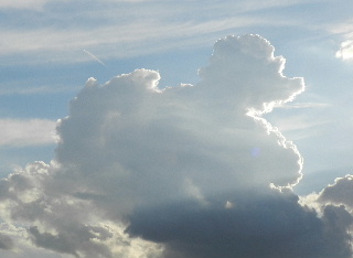 e0172950_22345666.jpg