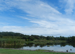 e0172950_22403285.jpg