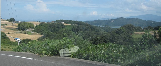 d0031853_735158.jpg