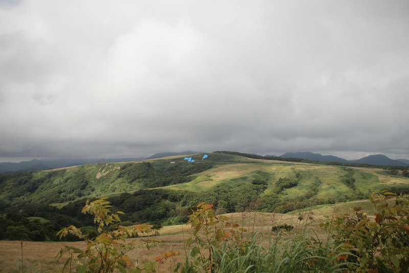 b0250154_19511235.jpg