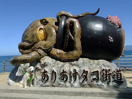 c0097558_1757782.jpg