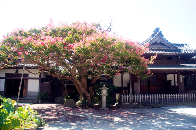 f0176458_22172040.jpg