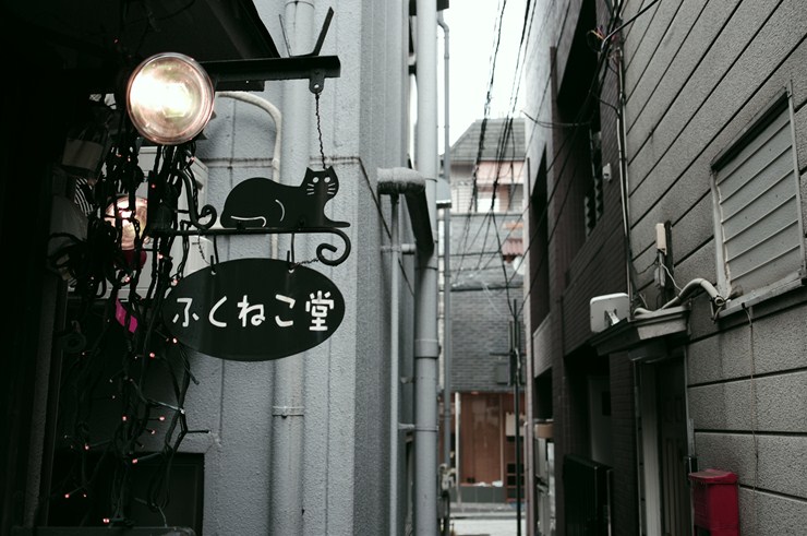 f0222161_15521637.jpg