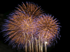 b0008064_084920.jpg
