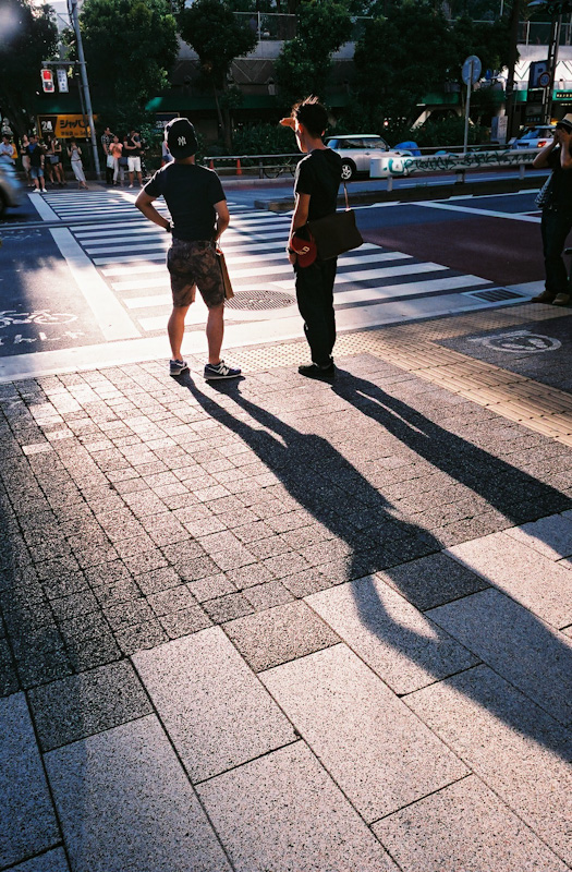 c0084666_16453948.jpg