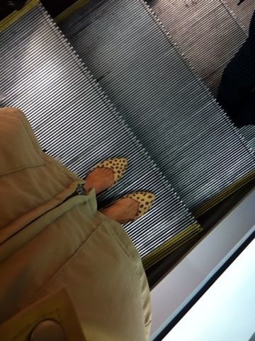 c0102268_3525758.jpg