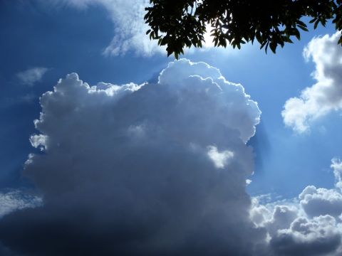 f0047773_1538361.jpg