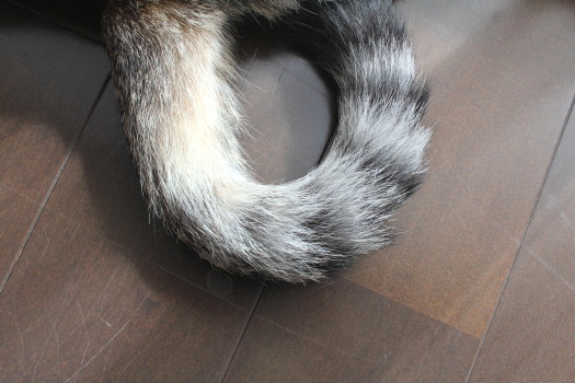 f0183274_2250833.jpg