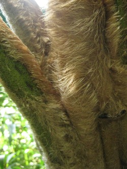 f0056476_22371046.jpg