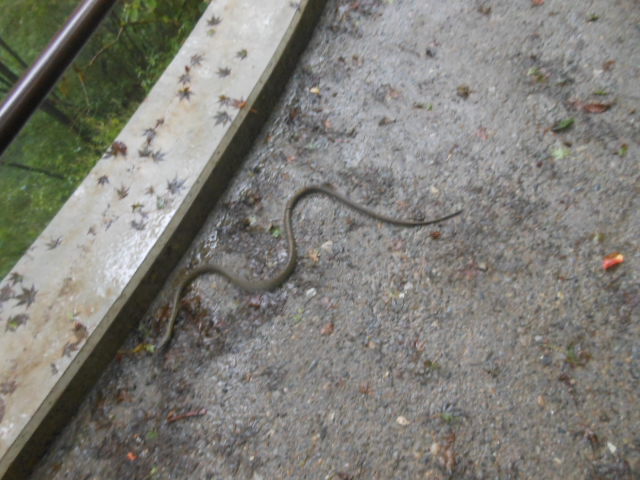 c0206177_1434484.jpg