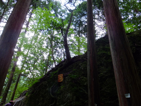 a0043982_15254238.jpg