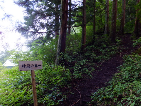 a0043982_15264228.jpg