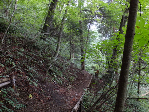 a0043982_1526518.jpg