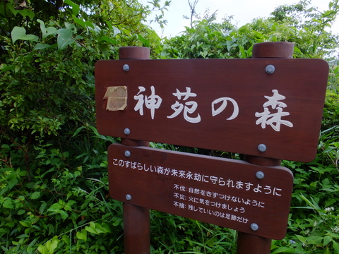 a0043982_15272626.jpg