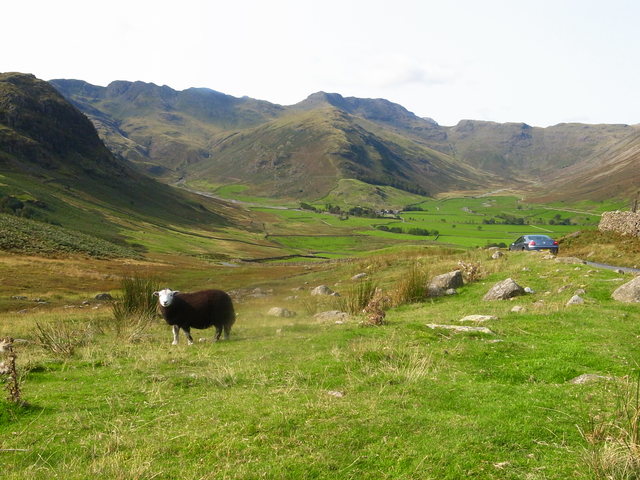 c0166082_15194996.jpg