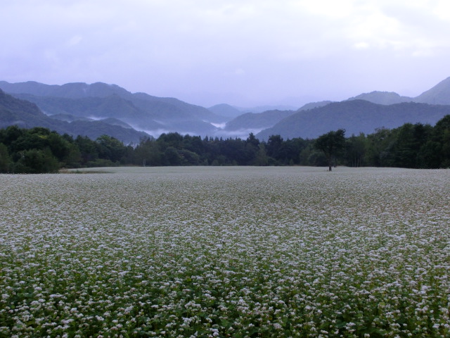 b0203588_17304177.jpg