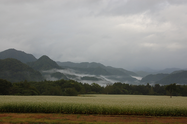 b0203588_17321270.jpg