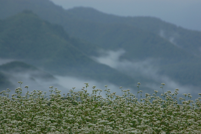 b0203588_17343233.jpg