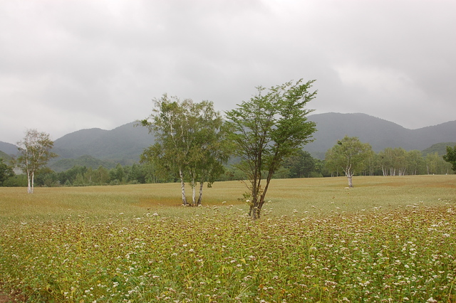 b0203588_173499.jpg