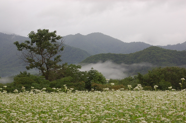 b0203588_17412887.jpg