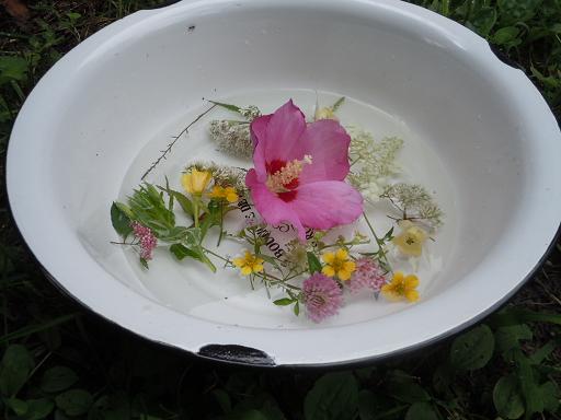 c0002089_1225415.jpg