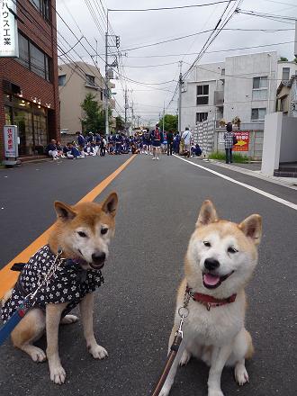 c0123890_2039686.jpg