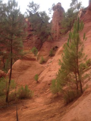 f0044892_5265254.jpg