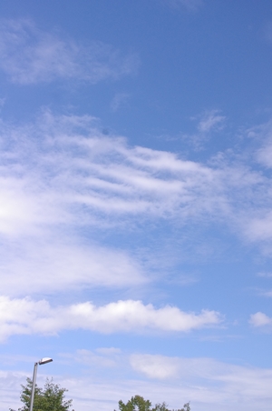 e0059896_18545657.jpg