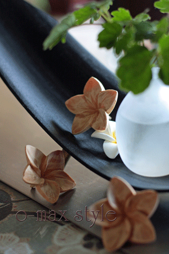 f0128096_835438.gif