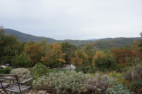 f0106597_205849.jpg