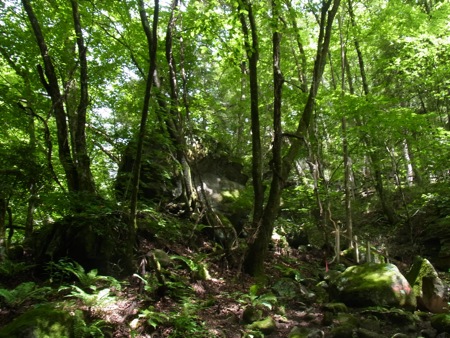 a0218499_11565763.jpg