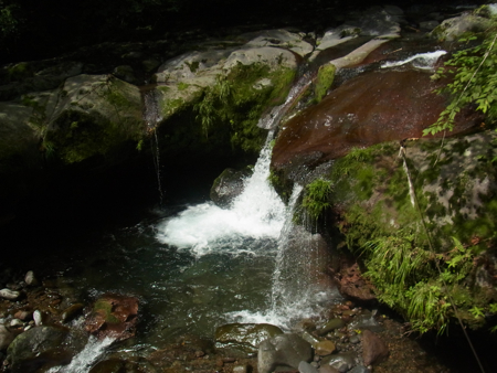 a0218499_11593498.jpg