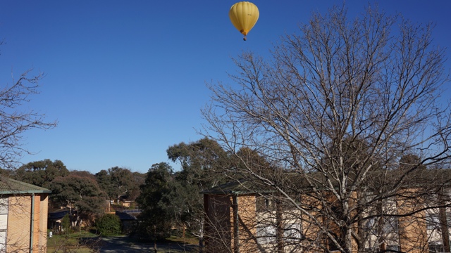 e0006999_20322334.jpg