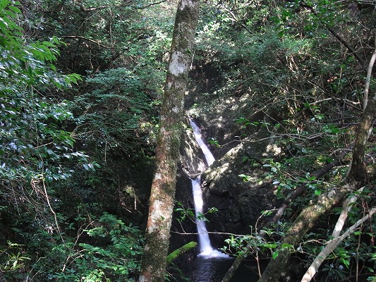 f0187402_21361781.jpg