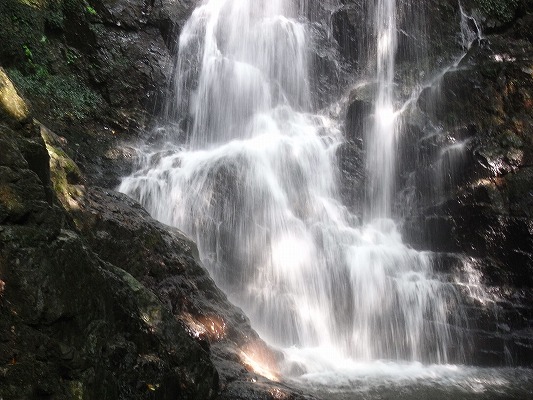 f0187402_21364843.jpg