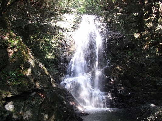 f0187402_21365738.jpg
