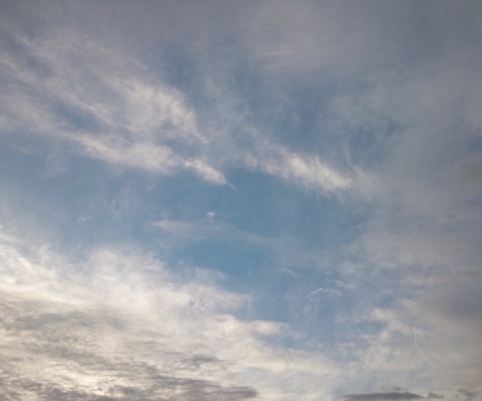 c0190103_21321930.jpg