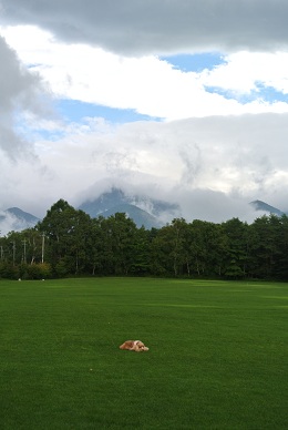 a0134004_161163.jpg