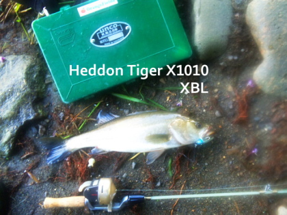 c0023804_20162568.jpg