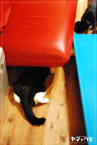 e0207511_20114523.jpg