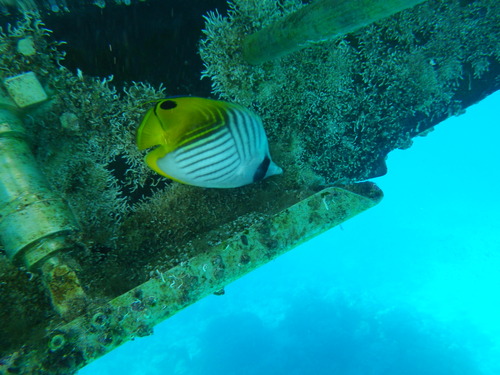 a0241913_236206.jpg
