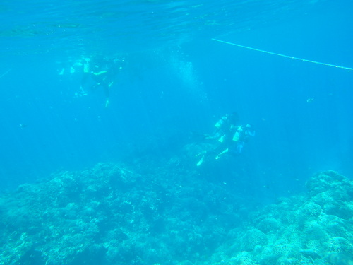 a0241913_2363018.jpg