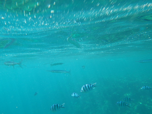 a0241913_2364920.jpg