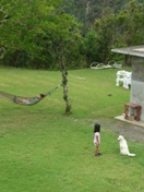 f0142821_1033764.jpg
