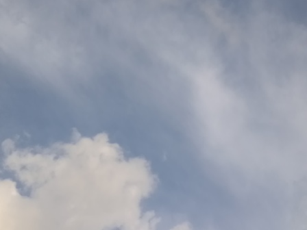 c0160822_10561963.jpg